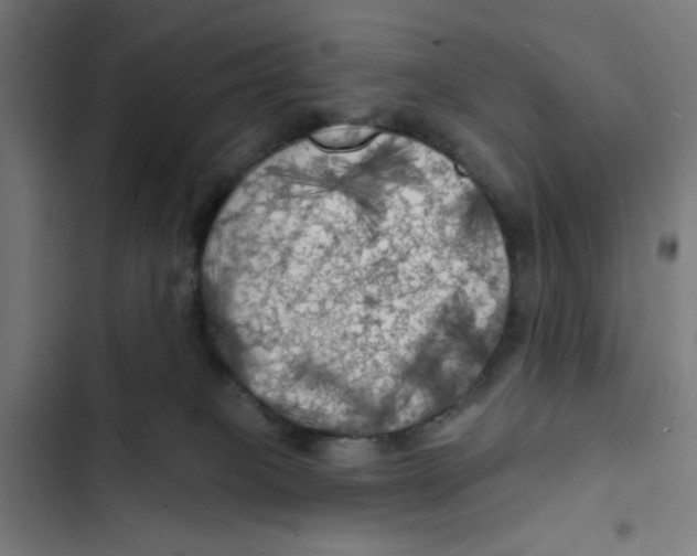 X0000102490085200809051332