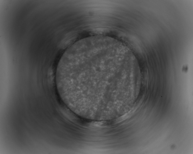 X0000102490086200809051332