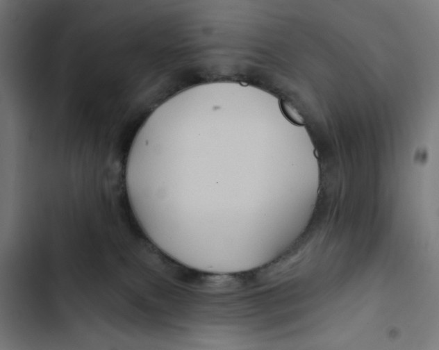 X0000102490087200809051332