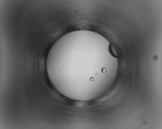 X0000102490088200809051332