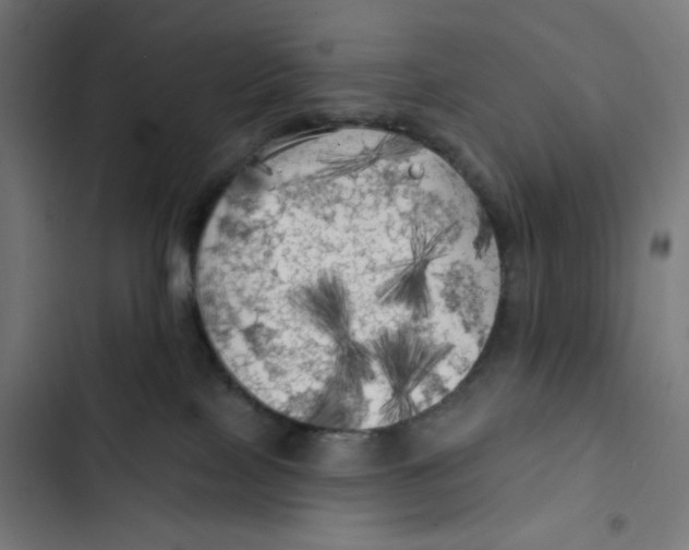 X0000102490089200809051332