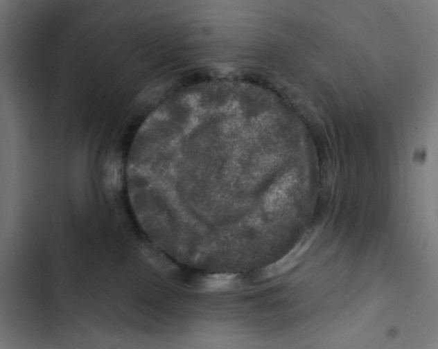 X0000102490090200809051332