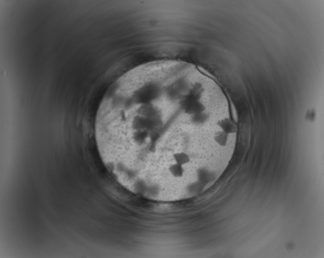 X0000102490091200809051332