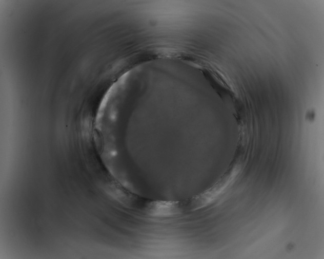 X0000102490093200809051332