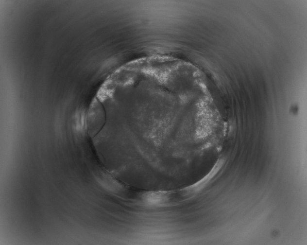 X0000102490094200809051332