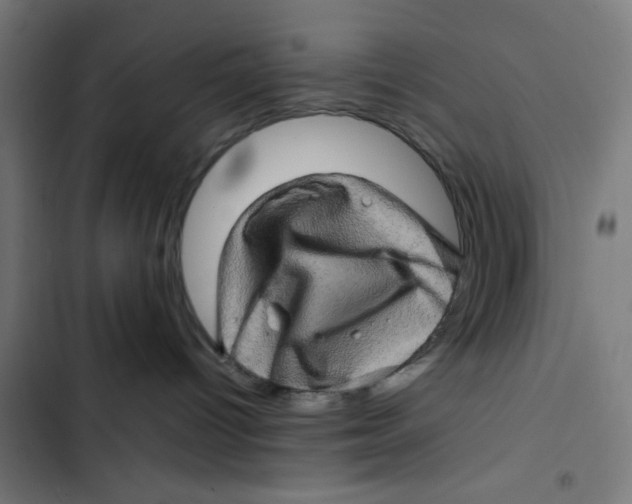 X0000102490096200809051332