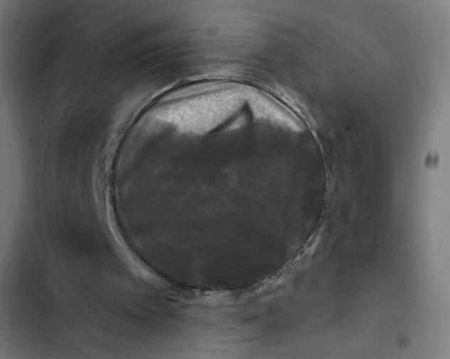 X0000102490097200809051331