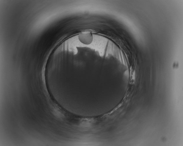 X0000102490099200809051331