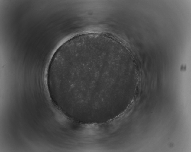 X0000102490100200809051331