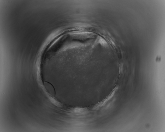 X0000102490101200809051331