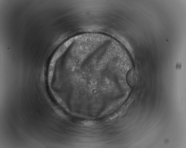 X0000102490105200809051331