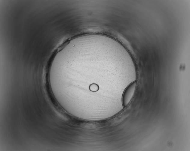 X0000102490106200809051331