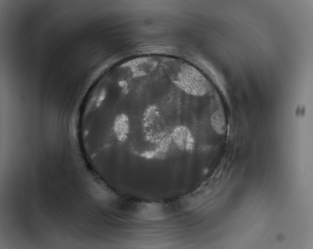 X0000102490107200809051331