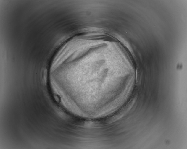 X0000102490109200809051331