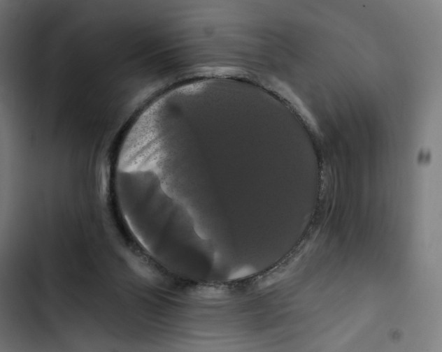 X0000102490110200809051331