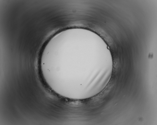 X0000102490112200809051331