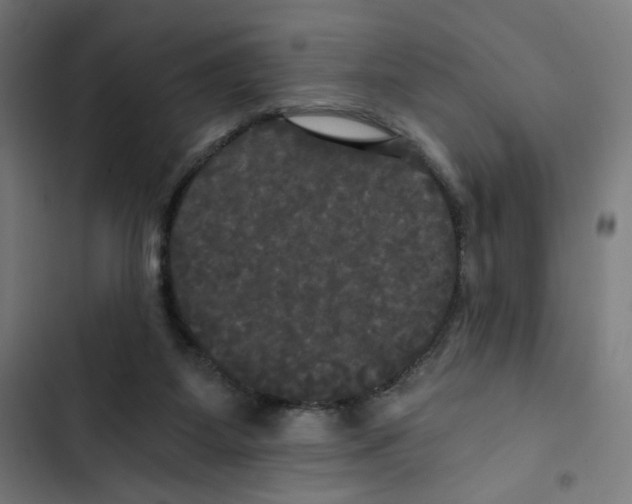 X0000102490115200809051331