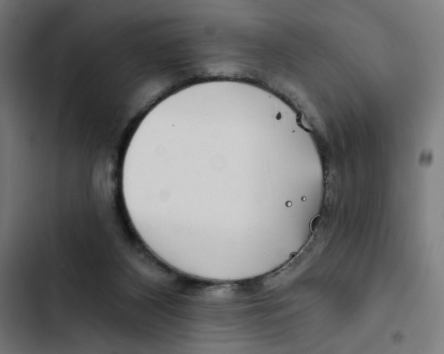 X0000102490116200809051331