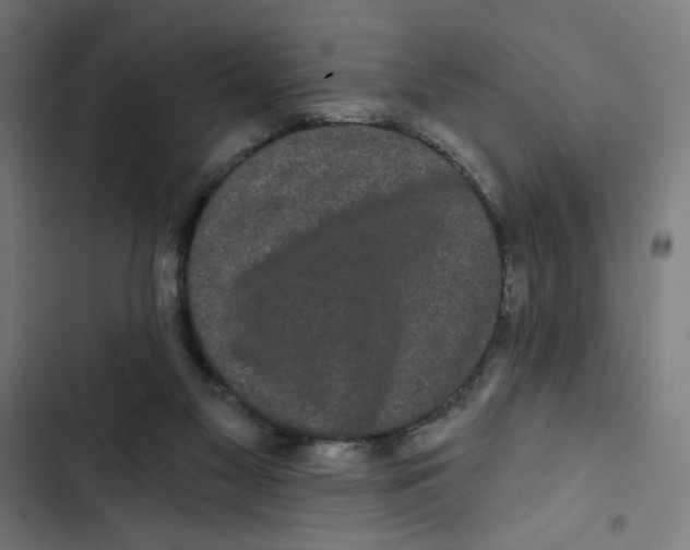 X0000102490117200809051331