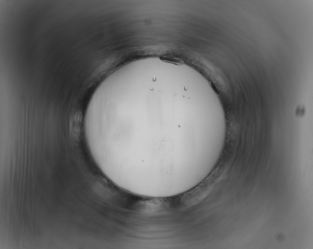 X0000102490118200809051331