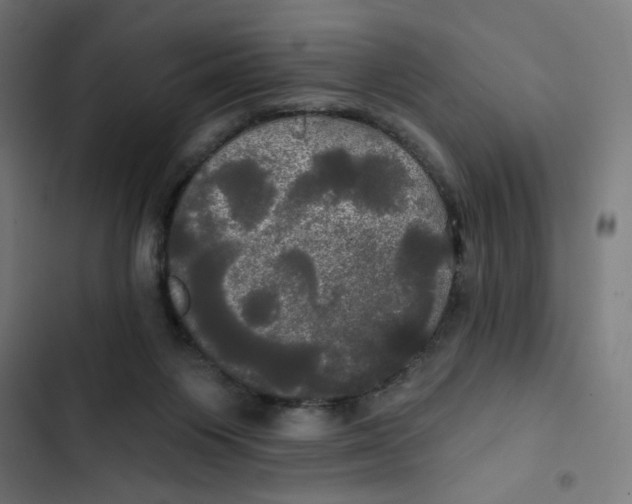 X0000102490119200809051331