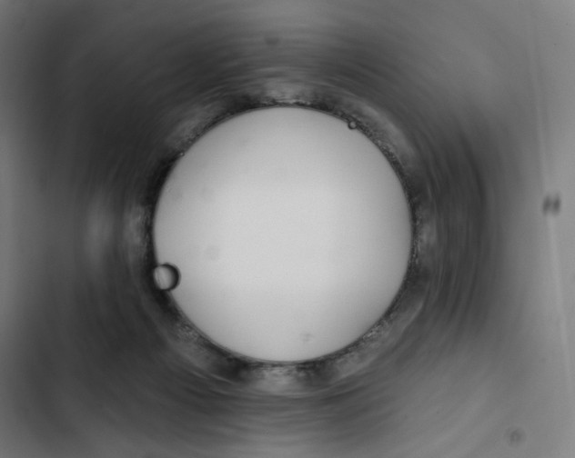 X0000102490121200809051331