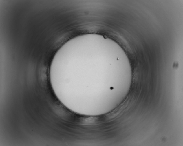 X0000102490122200809051331