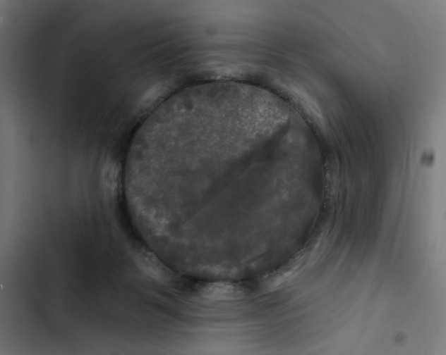 X0000102490123200809051331