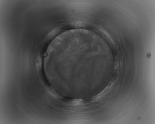 X0000102490124200809051331