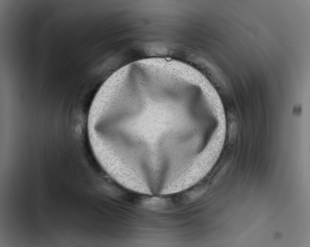 X0000102490125200809051331