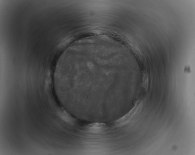 X0000102490128200809051331