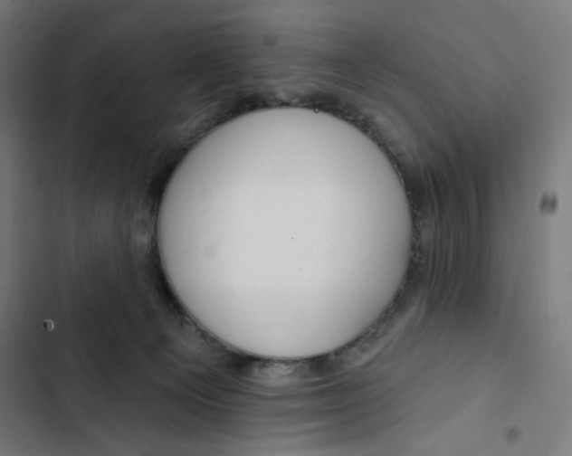 X0000102490129200809051331