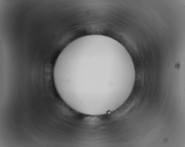 X0000102490133200809051331