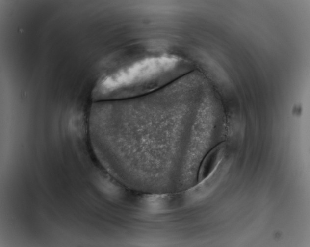 X0000102490136200809051331