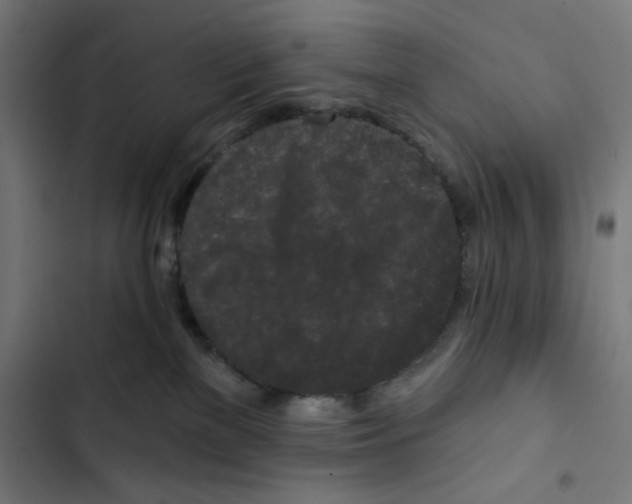 X0000102490137200809051331