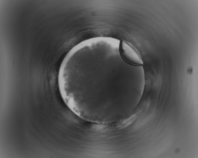 X0000102490139200809051331