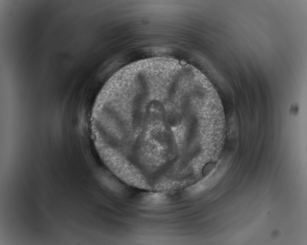 X0000102490140200809051331