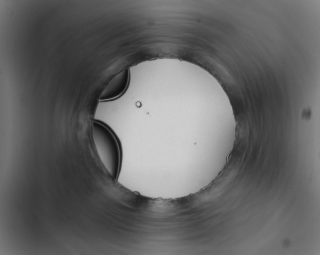 X0000102490141200809051331