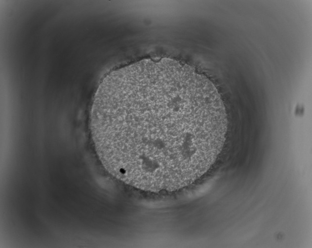 X0000102490144200809051331