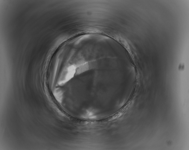 X0000102490145200809051330