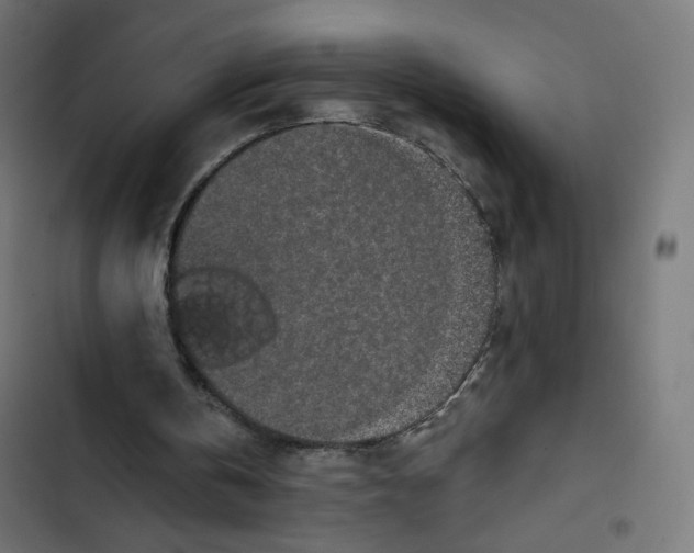 X0000102490146200809051330