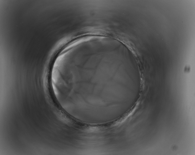 X0000102490149200809051330