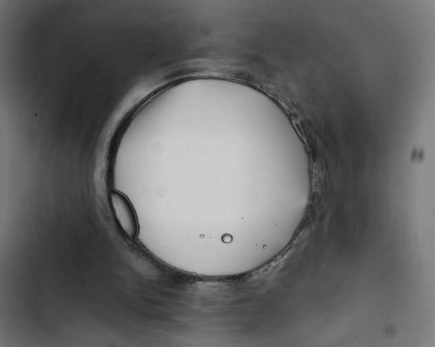 X0000102490150200809051330