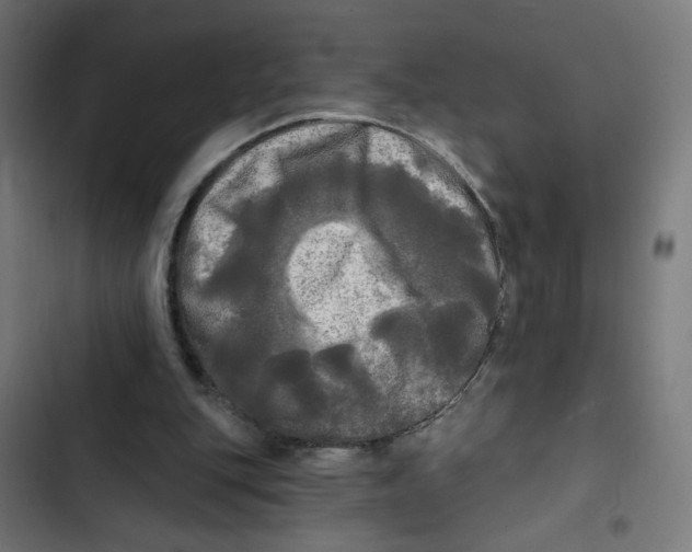 X0000102490151200809051330