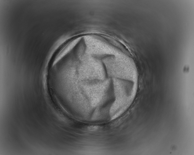 X0000102490152200809051330