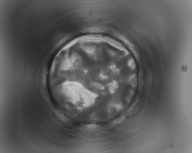 X0000102490153200809051330