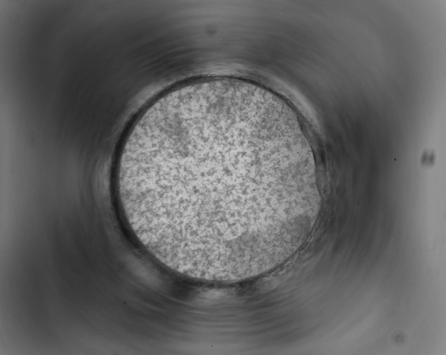 X0000102490155200809051330