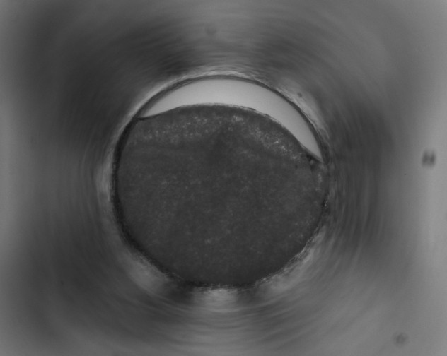 X0000102490156200809051330