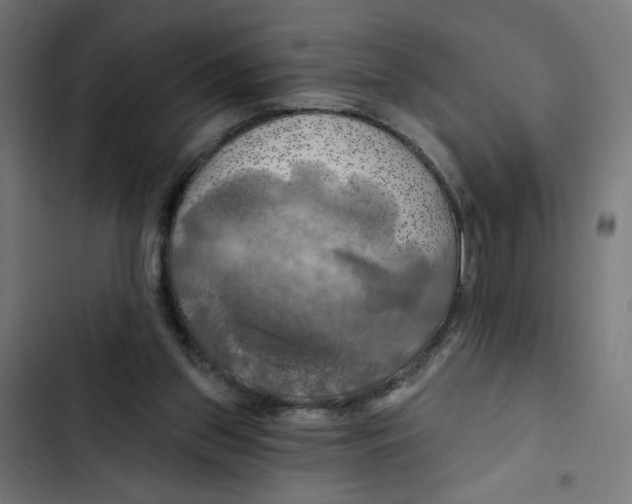 X0000102490157200809051330