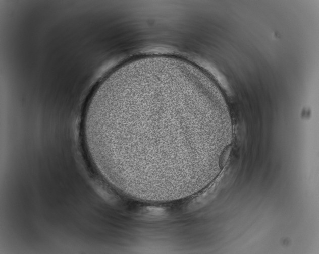 X0000102490159200809051330